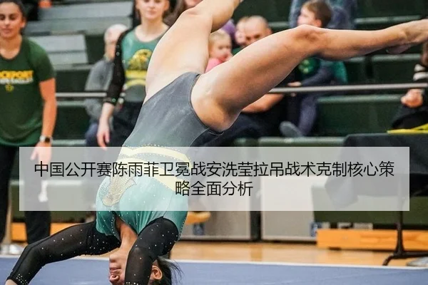 zhong-guo-gong-kai-sai-chen-yu-fei-wei-mian-zhan-an-xi-ying-la-diao-zhan-shu-ke-zhi-he-xin-ce-lve-quan-mian-fen-xi-3-369.jpg
