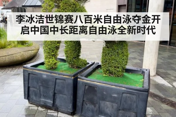 李冰洁世锦赛八百米自由泳夺金开启中国中长距离自由泳全新时代